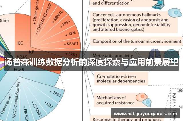 汤普森训练数据分析的深度探索与应用前景展望