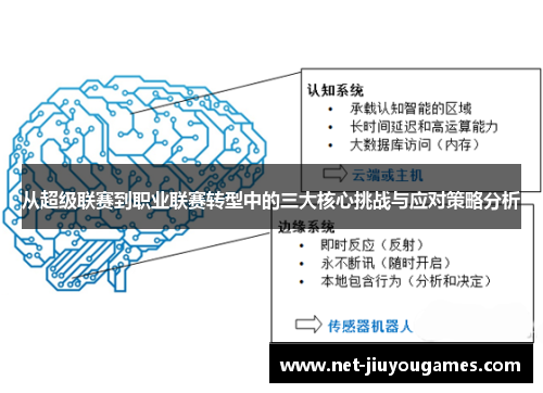 从超级联赛到职业联赛转型中的三大核心挑战与应对策略分析