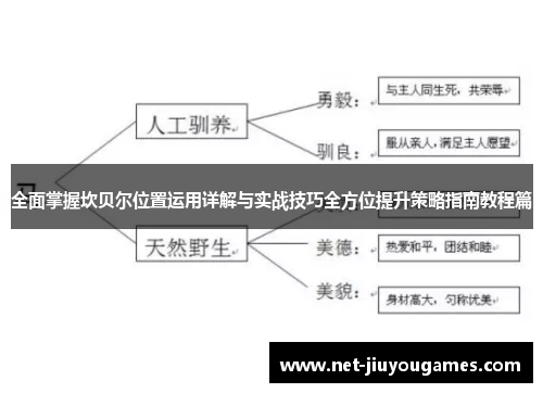 全面掌握坎贝尔位置运用详解与实战技巧全方位提升策略指南教程篇 全面掌握坎贝尔位置运用详解与实战技巧全方位提升策略指南教程篇